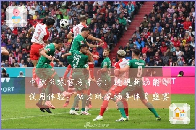 中欧买球官方平台：透视新功能与使用体验，助力玩家畅享体育盛宴