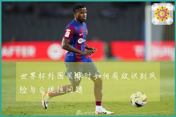 世界杯外围买球时如何有效识别风险与合规性问题