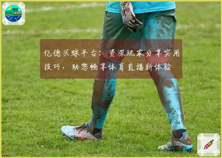 亿德买球平台：资深玩家分享实用技巧，助您畅享体育直播新体验