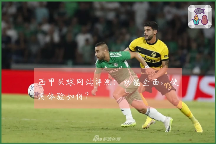 西甲买球网站评测：功能全面，使用体验如何？