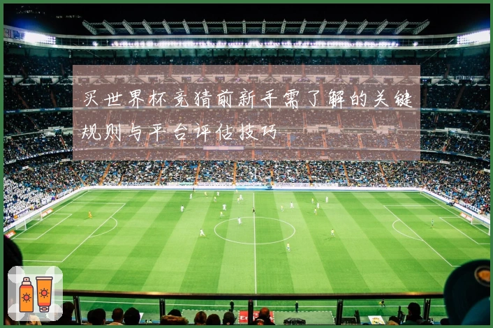 买世界杯竞猜前新手需了解的关键规则与平台评估技巧