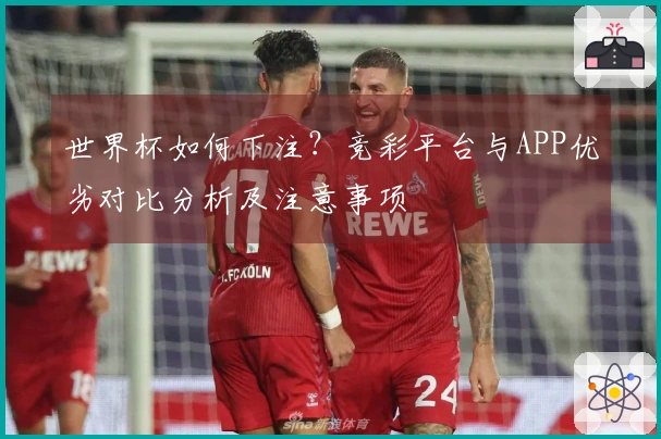 世界杯如何下注？竞彩平台与APP优劣对比分析及注意事项
