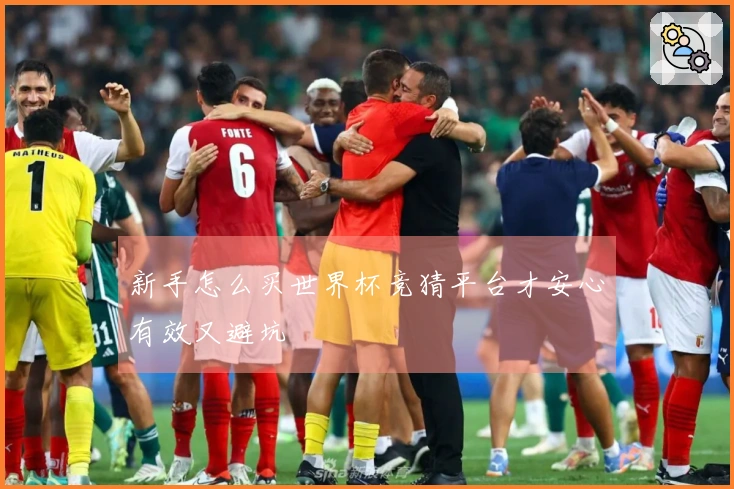 新手怎么买世界杯竞猜平台才安心有效又避坑