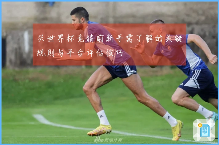 买世界杯竞猜前新手需了解的关键规则与平台评估技巧