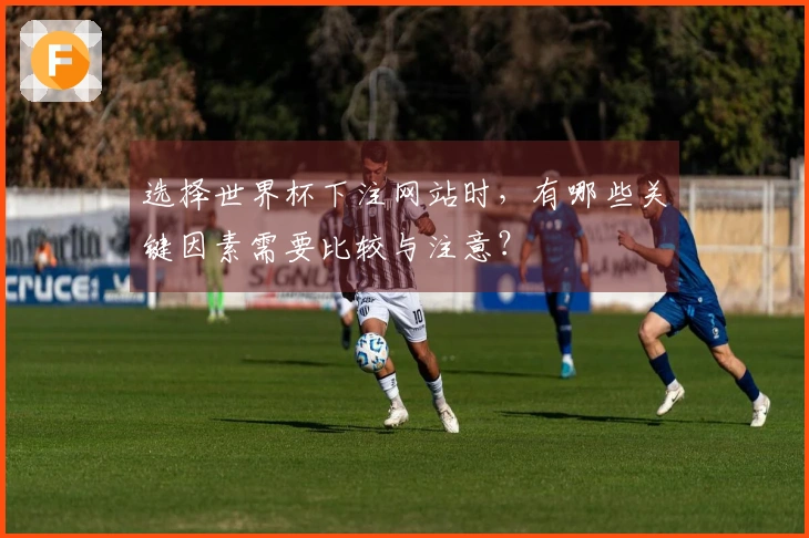 选择世界杯下注网站时，有哪些关键因素需要比较与注意？