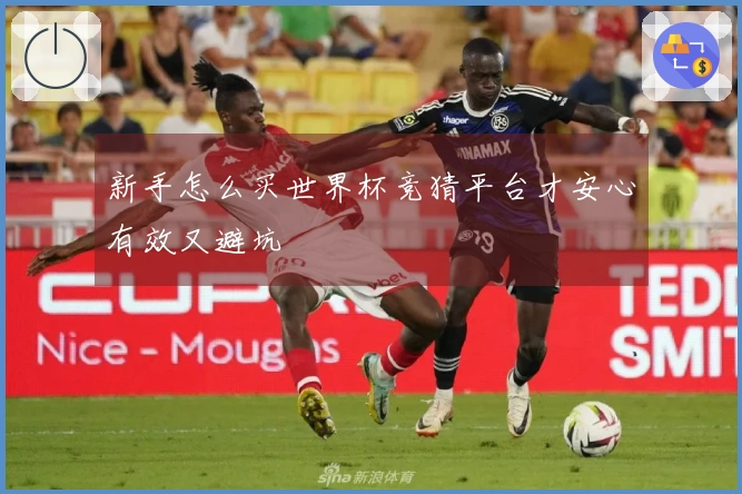 新手怎么买世界杯竞猜平台才安心有效又避坑