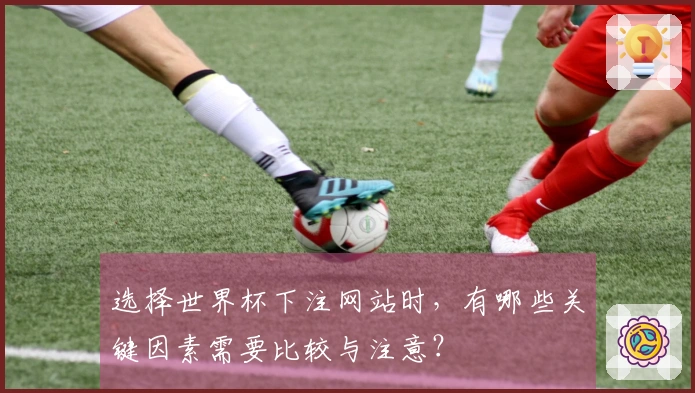 选择世界杯下注网站时，有哪些关键因素需要比较与注意？